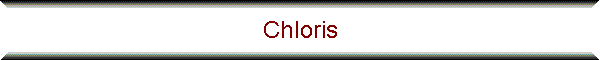 Chloris