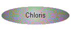 Chloris