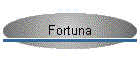 Fortuna