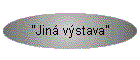 "Jin vstava"