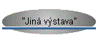 "Jin vstava"