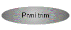 Prvn trim