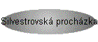 Silvestrovsk prochzka