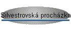 Silvestrovsk prochzka